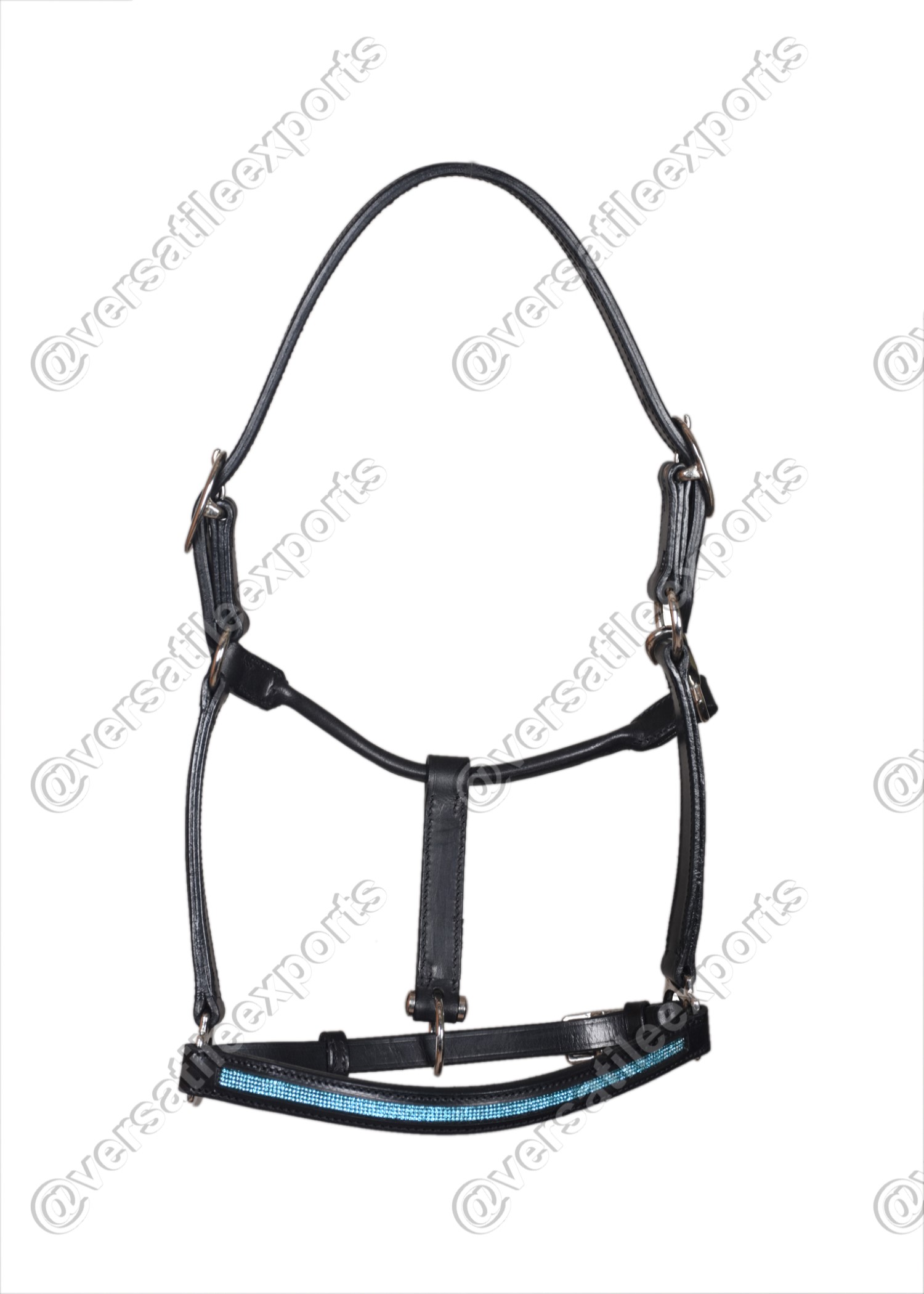 Halter Shiny